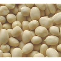 BLANCHED PEANUTS